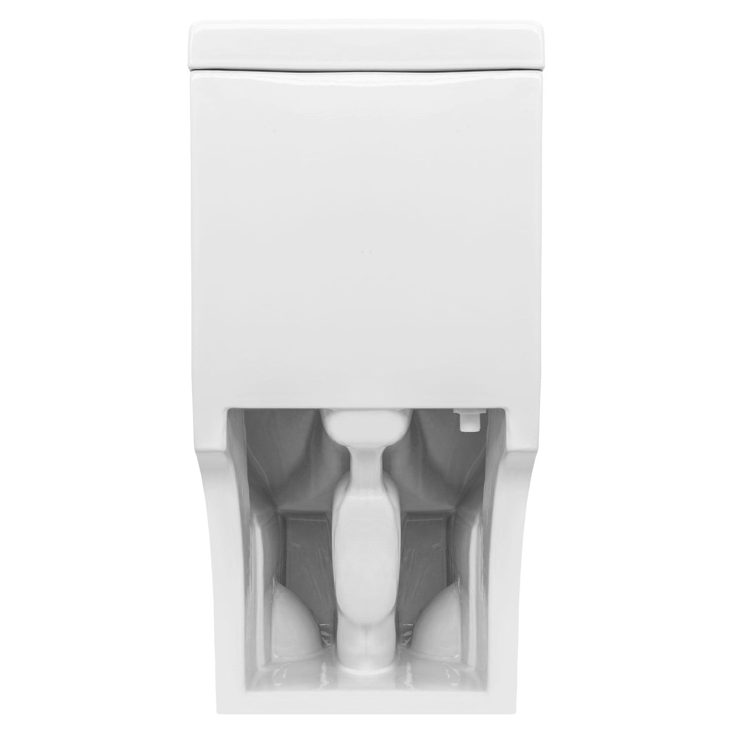 Single Flush One Piece Modern LT9 Toilet.