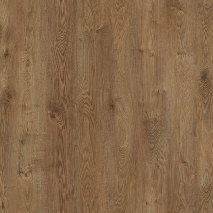 12mm Laminate AGT Flooring Atlas - Flooring