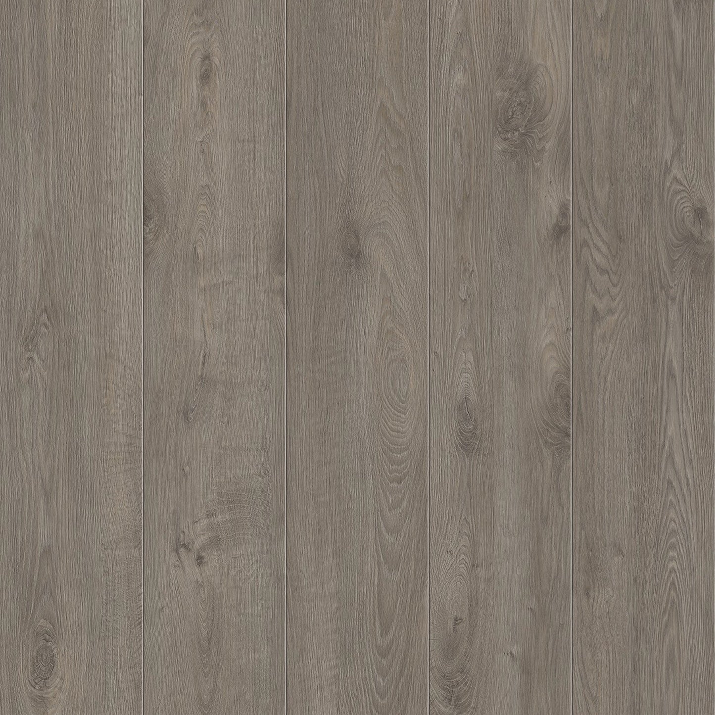 12mm Laminate AGT Flooring Nirvana - Flooring