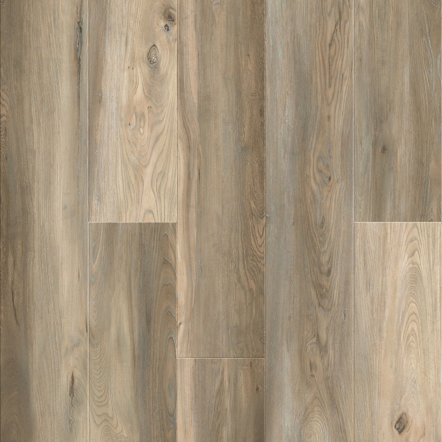 5.5 mm Panda Oak SPC Rigid Luxury Vinyl Waterproof Flooring with Padding - Flooring