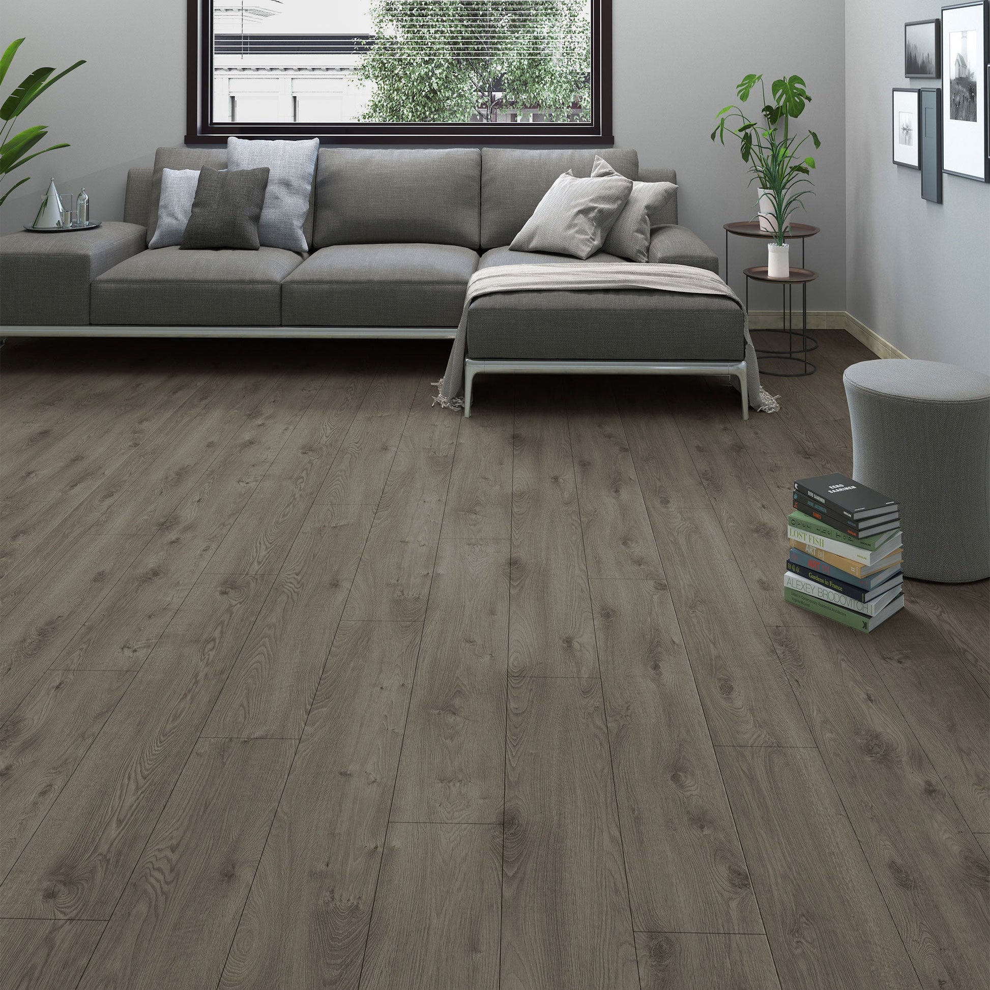8mm Laminate AGT Flooring Nirvana - Flooring