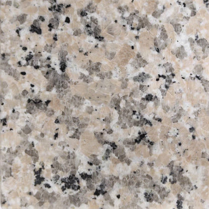 Burlywood 37x22 with Backsplash (8 in Spread)