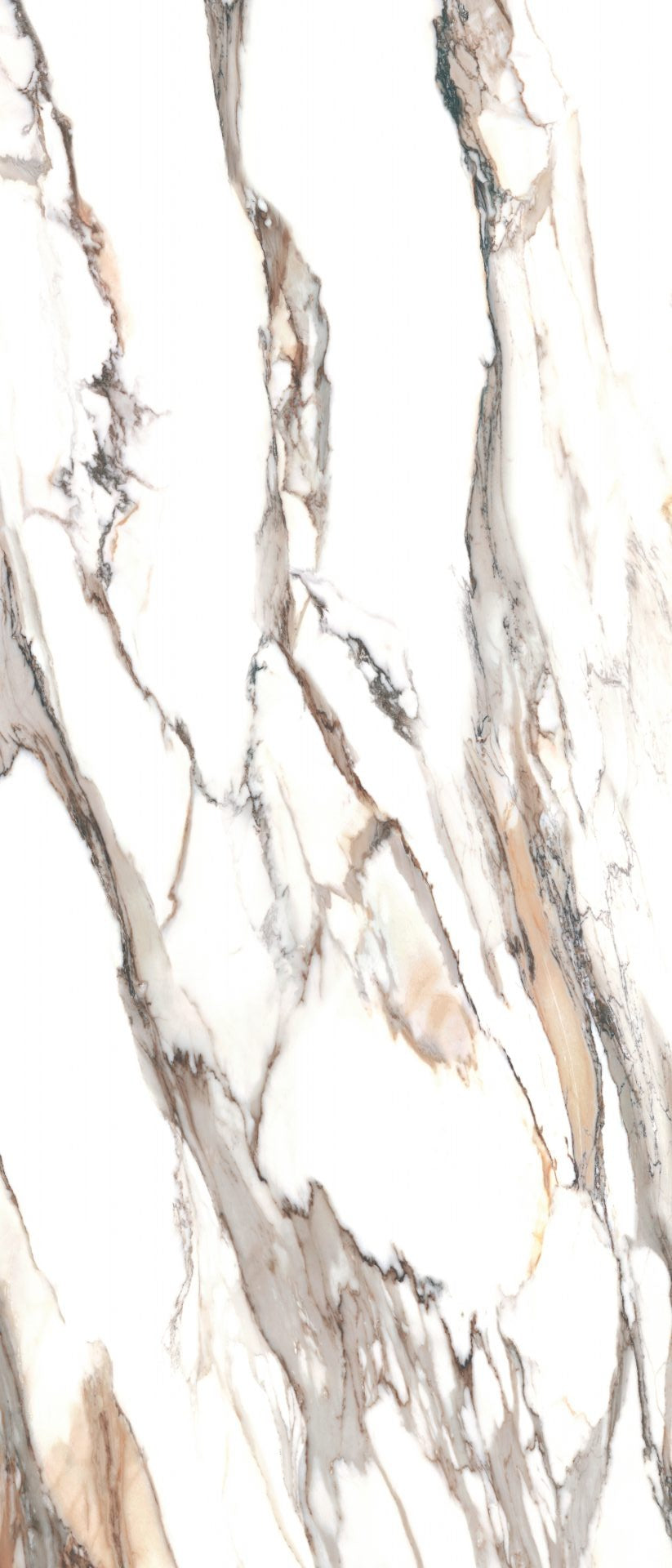 Calacatta Gold Tile 24x48 Polished Rectified Porcelain Floor and Wall for Interior or Exterior Flooring