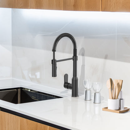 Modern Spring-Type Kitchen Faucet LK18M Matte Black