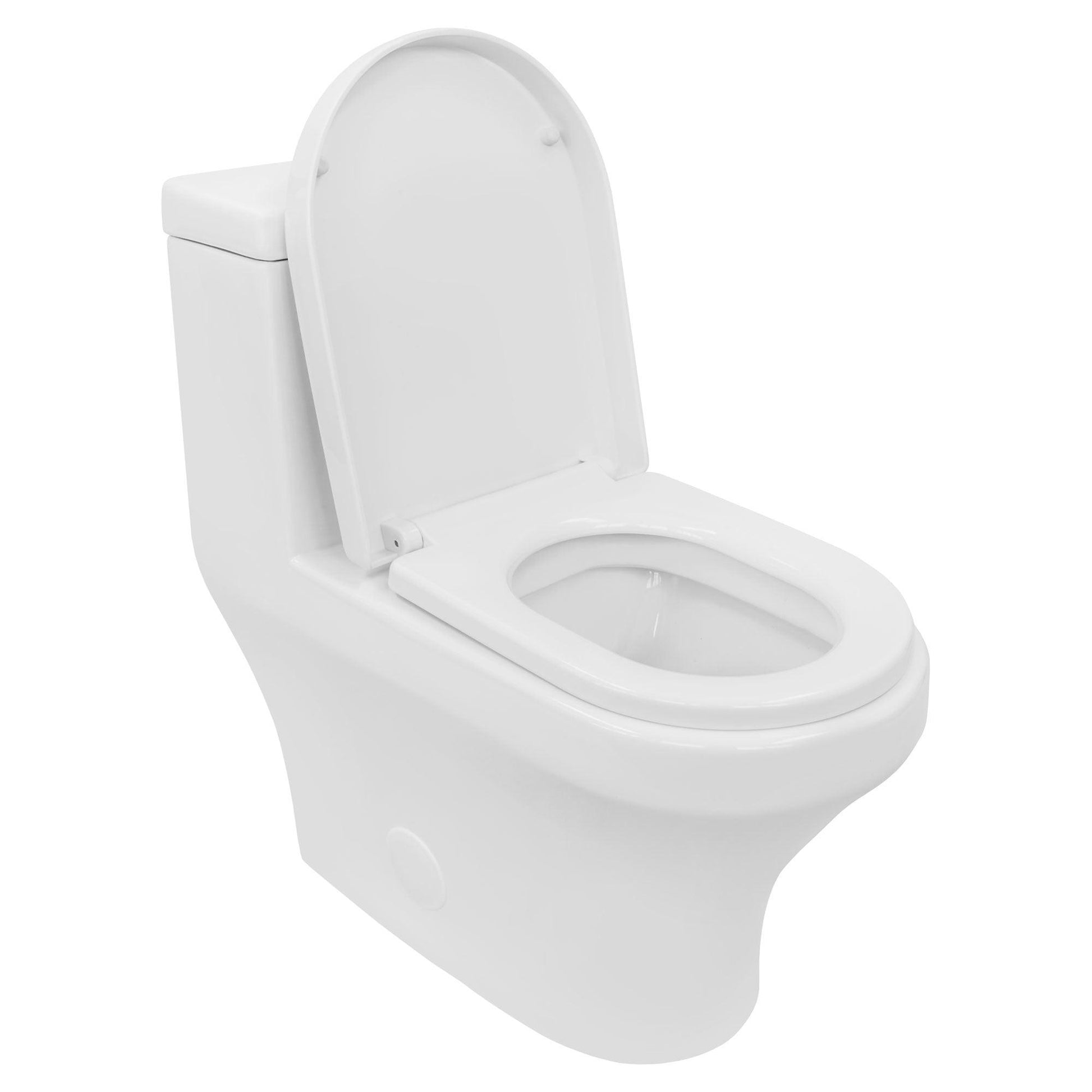 Dual Flush One Piece Modern LT8 Toilet.