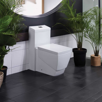 One Piece 1.0/1.6 GPF Dual Flush Elongated Toilet with Soft Close Seat LT5 Toilets