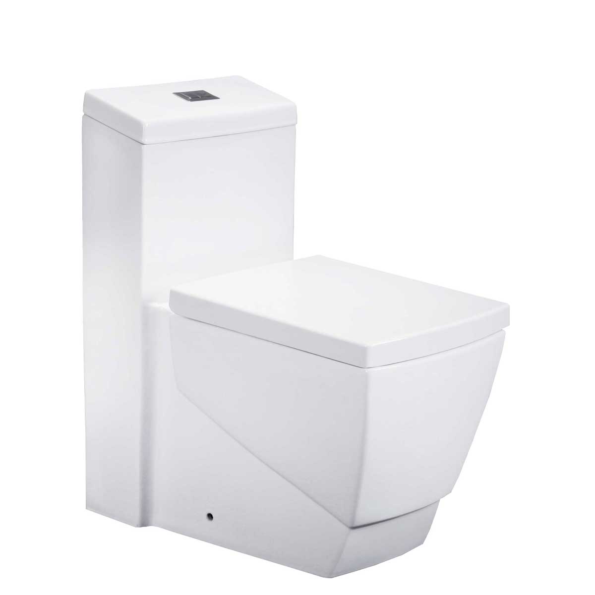One Piece 1.0/1.6 GPF Dual Flush Elongated Toilet with Soft Close Seat LT5 Toilets