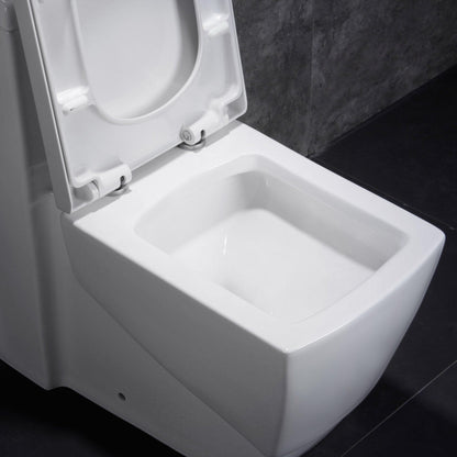 Dual Flush One Piece Modern LT5 Toilet.