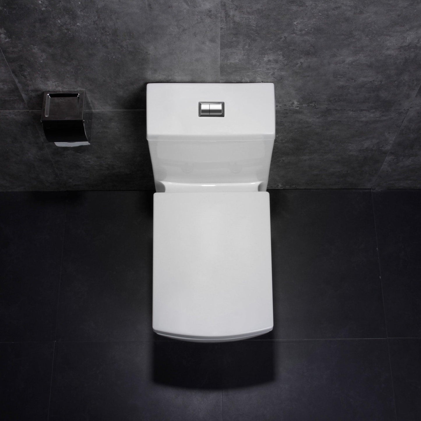 Dual Flush One Piece Modern LT5 Toilet.
