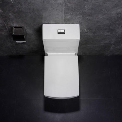 Dual Flush One Piece Modern LT5 Toilet.