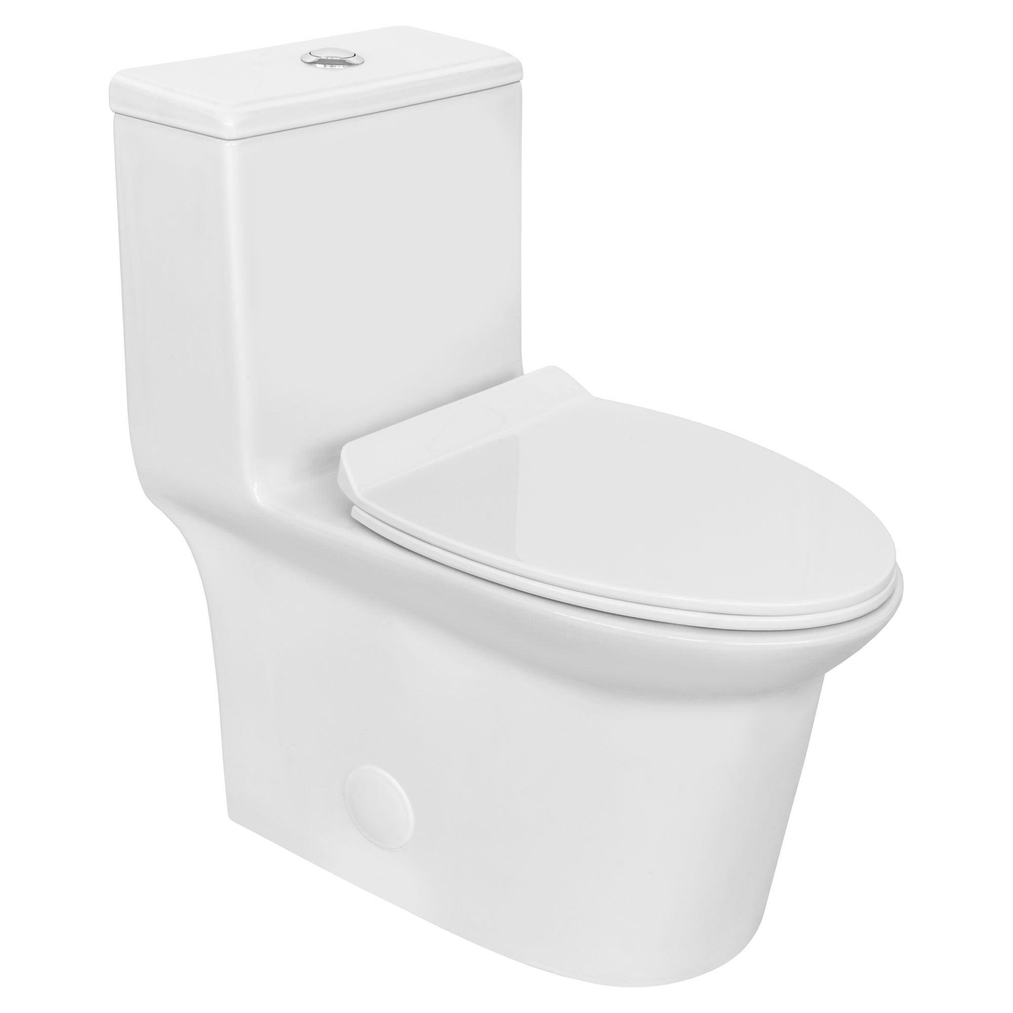 Single-Flush One-Piece LT7 Toilet with Contemporary Style