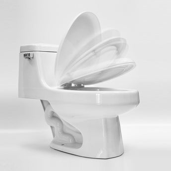 Single Flush Elongated One Piece Ceramic LT2 Toilet.