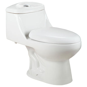 One Piece Elegant Modern LT2T Toilet with Soft Close Seat.