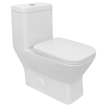 Single Flush One Piece Modern LT6 Toilet.