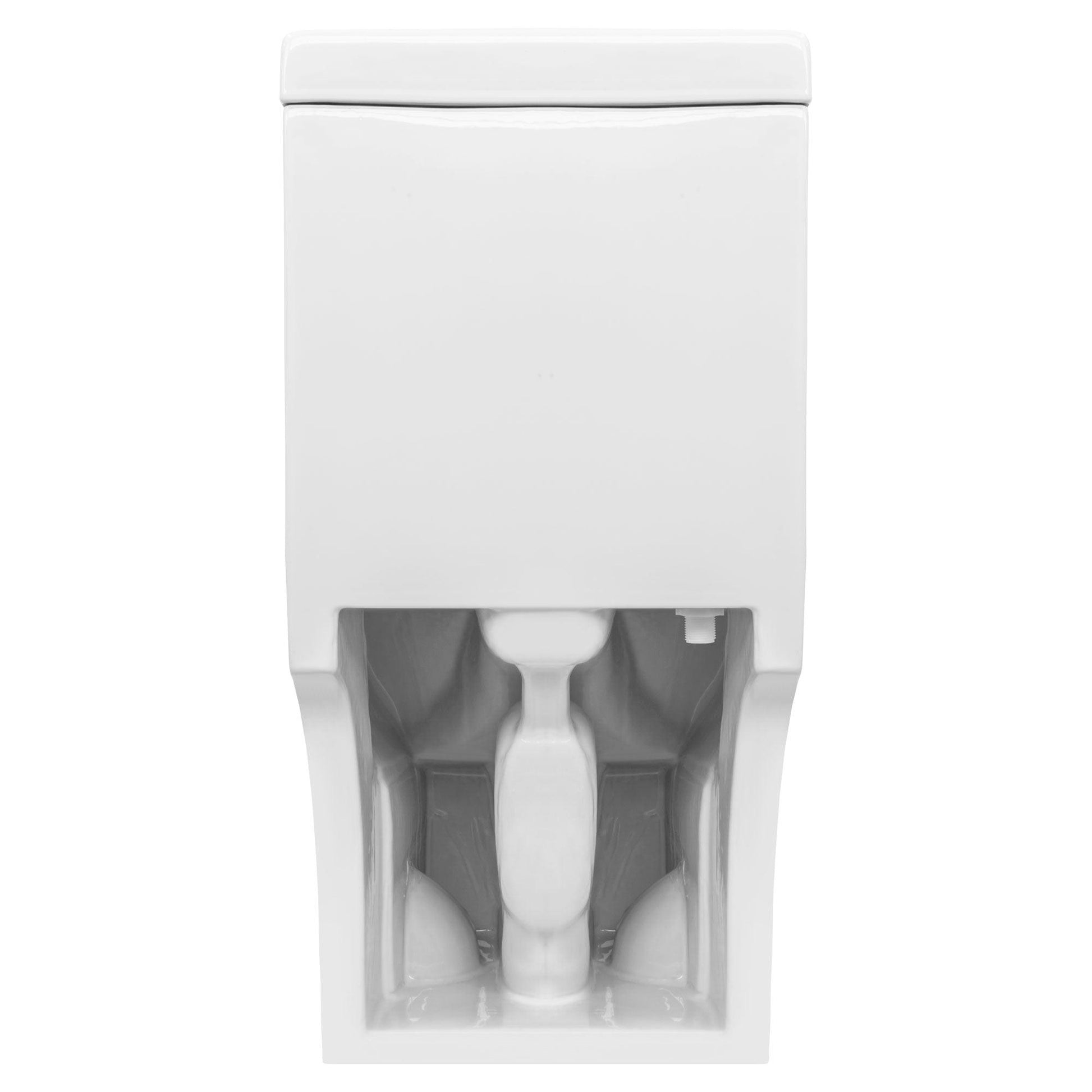 Single Flush One Piece Modern LT9 Toilet.