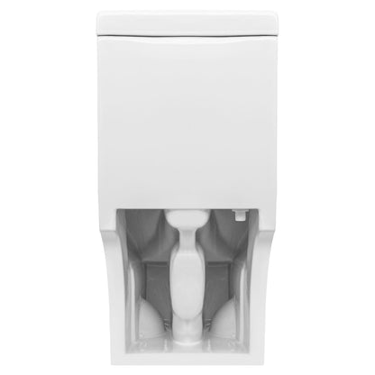 Single Flush One Piece Modern LT9 Toilet.